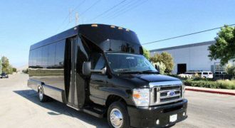 20 passenger party bus